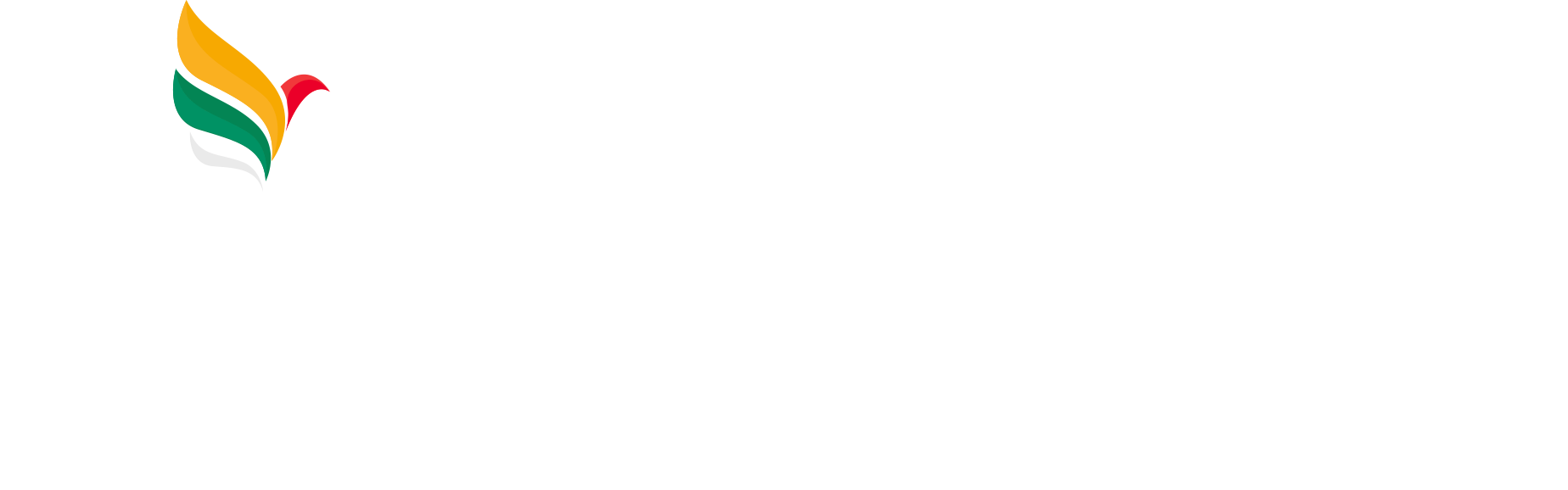 Nuspay Logo Dark